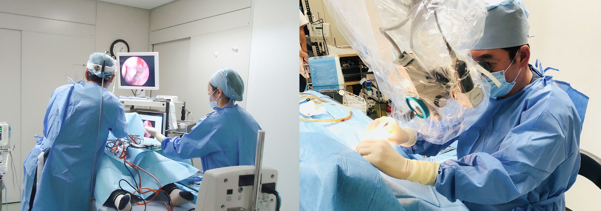 いぬい耳鼻咽喉科手術風景